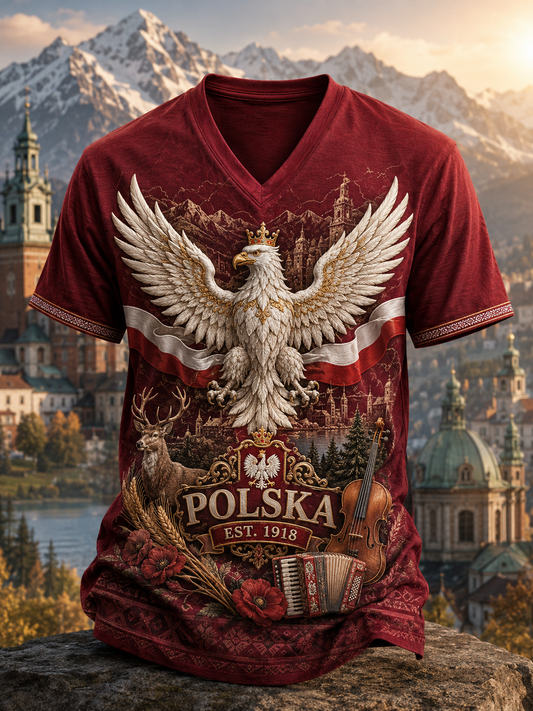 Męska koszulka z dekoltem w szpic